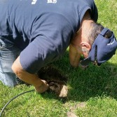 drainpiping