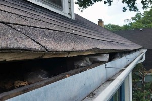 Gutter Repairs & Installation | AJ's Windows & Gutters | Chicago, IL