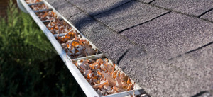 Deer Park IL Gutter Cleaning